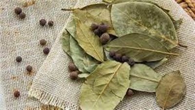 كيفية القضاء على الصراصير بدون مبيدات