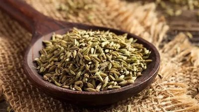 لماذا تبرز عروق اليد؟ الأسباب الشائعة والمفاجئة
