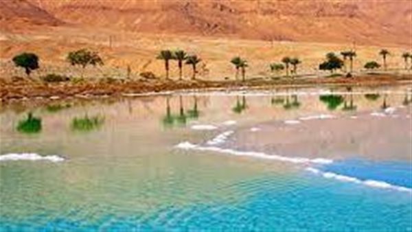 موقع أيام نيوز