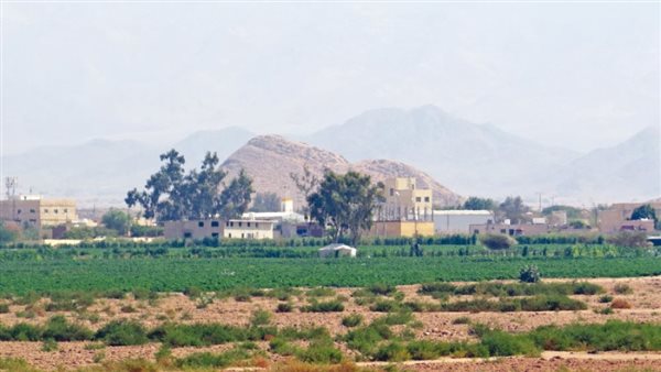 موقع أيام نيوز