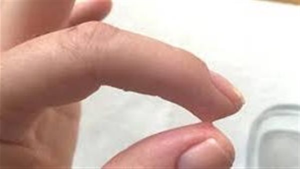 موقع أيام نيوز