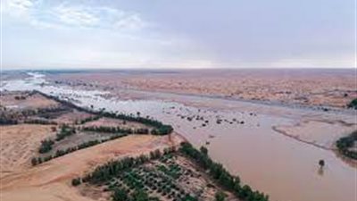 ما اهمية أهمية وادي الرمة