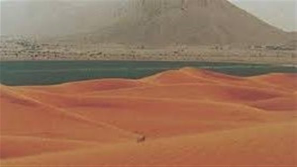 موقع أيام نيوز