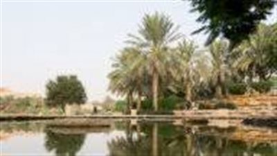 مميزات وادي مور