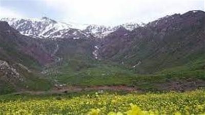 كم ارتفاع جبل سنجار 