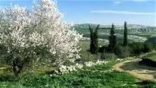 موقع أيام نيوز