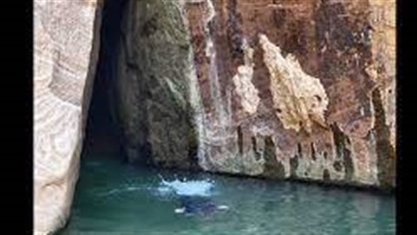 موقع أيام نيوز