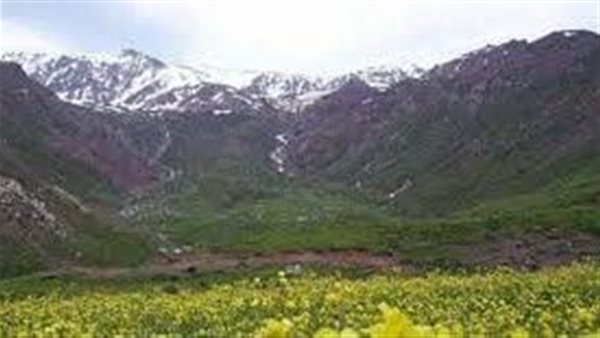 موقع أيام نيوز