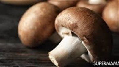 خطوات زراعة الفطر 