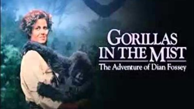 قصة فيلم Gorillas in the Mist