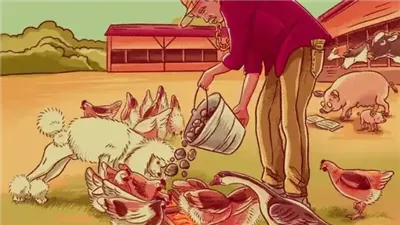 صور تحتوي على تفاصيل غير منطقية