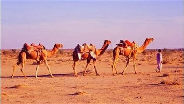 موقع أيام نيوز