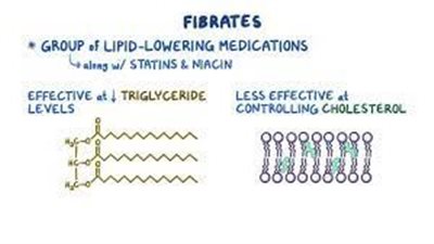كل ما تريد معرفته عن استخدام Fibrates