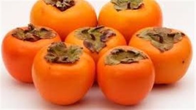 في اي فصل يفضل زراعة الكاكا 