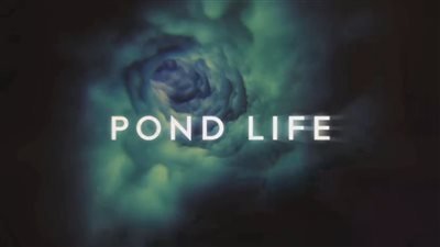قصة مسلسل Pond Life