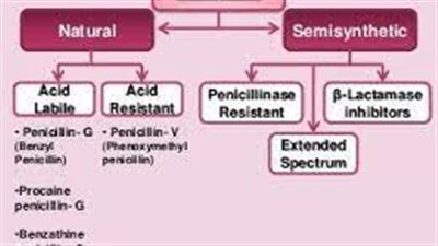 كل ما تريد معرفته عن استخدام Penicillins