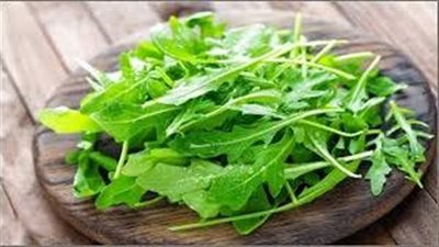 خطوات زراعة الجرجير 