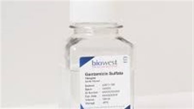 كل ما تريد معرفته عن استخدام gentamicin