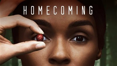 قصة مسلسل Homecoming