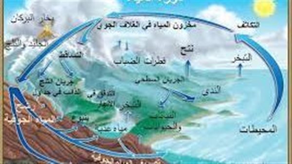 موقع أيام نيوز