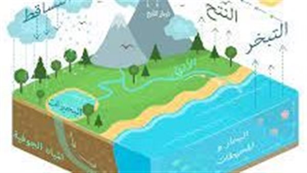 موقع أيام نيوز