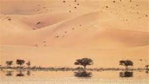موقع أيام نيوز