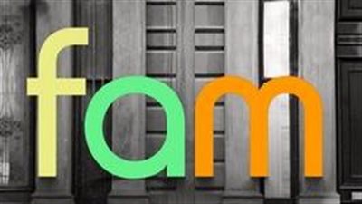قصة مسلسل Fam