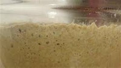 كيف تصنع الخميرة البلدية