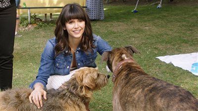 قصة فيلم Dog Days