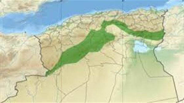 موقع أيام نيوز