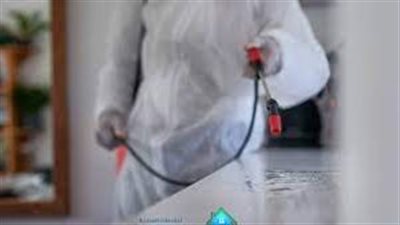 طريقة استخدام المبيدات الحشرية في المنزل