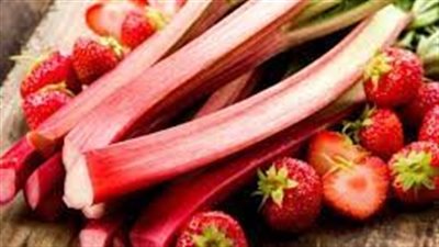 كل ما تريد معرفته عن استخدام Rhubarb