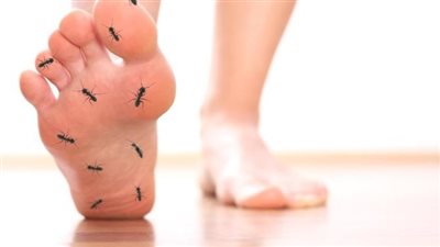 سبب حدوث تنميل بالأطراف