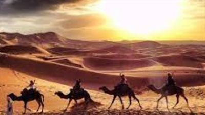 اصل عائلة العصفور