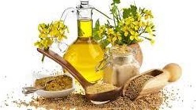  أسرار زيت الخردل: رحلة عبر خصائص زيت غني