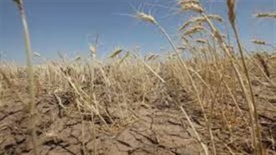 آثار التغيرات المناخية على الأمن الغذائي