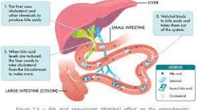 كل ما تريد معرفته عن استخدام Bile Acid Sequestrants