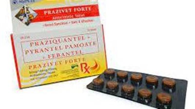 كل ما تريد معرفته عن استخدام Praziquantel