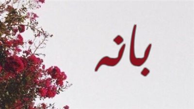 معنى اسم بانه وصفات حاملة الاسم