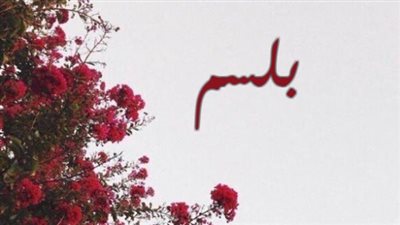 معنى اسم بلسم وصفات حاملة الاسم