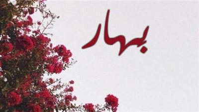 معنى اسم بهار وصفات حاملة الاسم 
