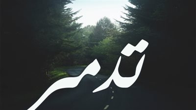 معنى اسم تدمرصفات حاملة الاسم