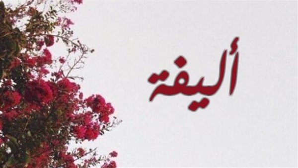 موقع أيام نيوز