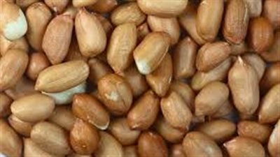 زيت الفول السوداني: إكسيرٌ سحريٌّ يُغذّي شعركِ ويُنعش حيويته