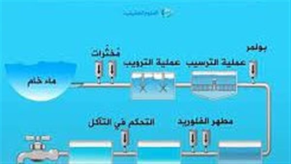 موقع أيام نيوز