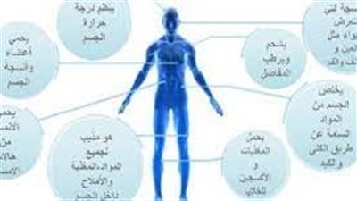 كم من الماء يجب أن نشرب؟