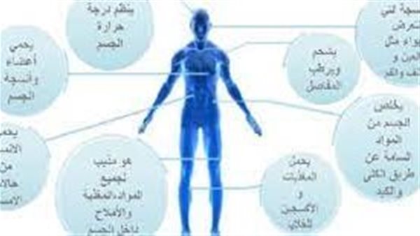 موقع أيام نيوز