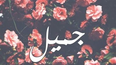 معنى اسم جميل وصفات حاملة الاسم