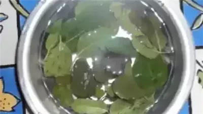 فوائد الريحان العامة للصحة