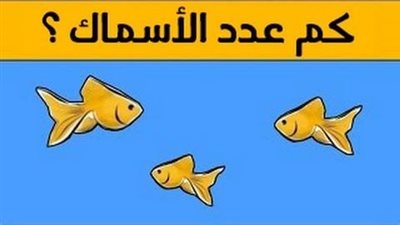 الغاز صعبة مصرية مضحكة